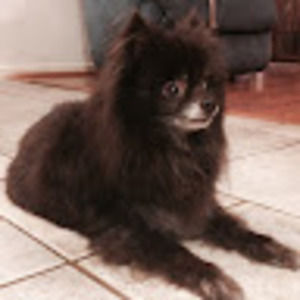 Meet your Posher, Tricia